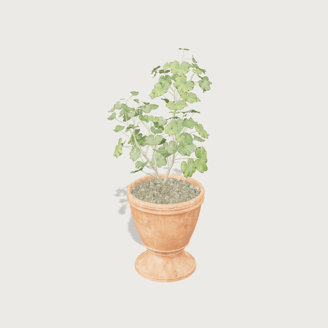 Plante en pot (1,35 m)