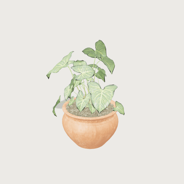Plante en pot (0,84 m)
