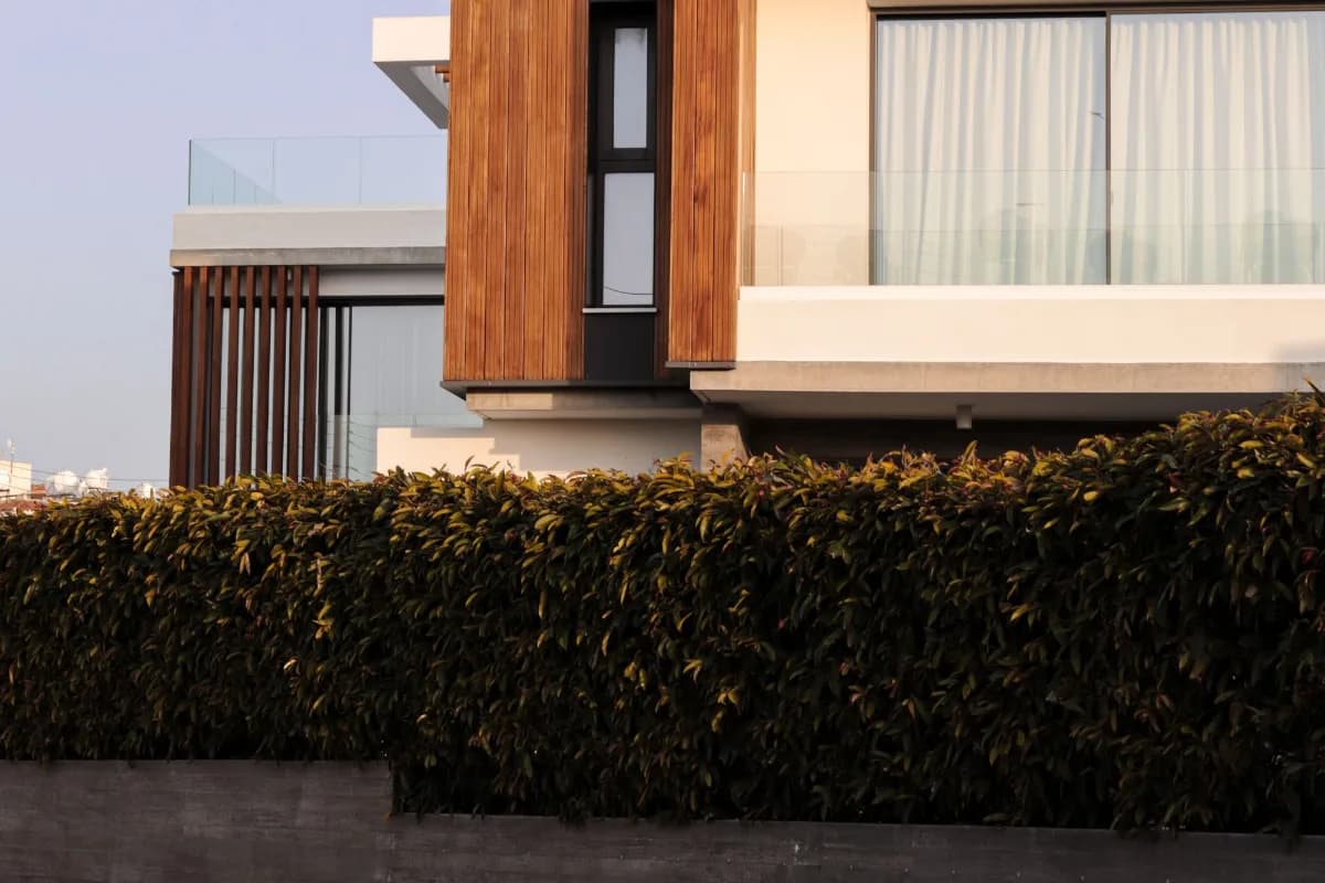 Rendu extérieur d'une villa contemporaine avec terrasse et jardin